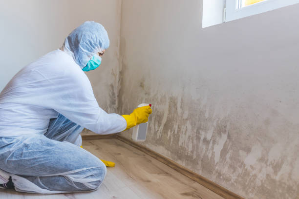 Crawl Space Mold Remediation treatment of floor joists in Canton